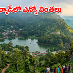 Aarcad Travel: తక్కువ బడ్జెట్‌లో భూలోక స్వర్గానికి చెక్కేయండి.. వేసవిలో బెస్ట్ ప్లేస్ ఎర్కాడ్