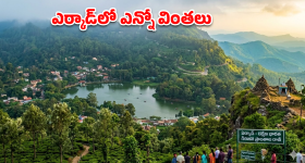 Lighting Lamp:పూజ గదిలో దీపం పెట్టేటప్పుడు.. ఈ తప్పులు అస్సలు చేయొద్దు