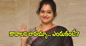 Actress Raasi: పెళ్లి చేసుకోవడానికే లావయ్యాను.. రాశి షాకింగ్ కామెంట్స్