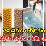 Air Cooler Buying Tips: బెస్ట్ కూలర్‌ ఎంచుకునే 4 చిట్కాలు.. వీటిని పాటించకపోతే.. మీ డబ్బు వృథానే!
