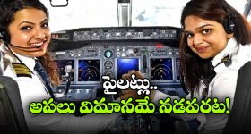 Interesting Facts: పైలట్లు రొయ్యలు, పీతలు ఎందుకు తినరు? వారి క్యాప్‌ లో ఫొటోలు ఎందుకు పెట్టుకుంటారు?
