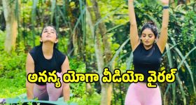 శంషాబాద్ ఎయిర్‌పోర్టులో భారీ డ్రగ్స్ వేట.. రూ. 25 కోట్ల విలువైన హైడ్రోపోనిక్ గంజాయి సీజ్!