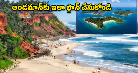 Flight Tickets Booking Time: భలే.. సరిగ్గా ఈ టైమ్‌లో విమానం టికెట్ బుక్ చేస్తే.. 60 శాతం డబ్బులు ఆదా!