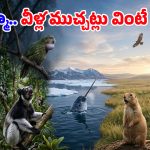 Animal Language: మనుషులకే కాదు.. ఈ జంతువులకూ ఉన్నాయి కమ్యూనికేషన్ స్కిల్స్!