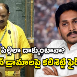 Appalanayudu on Jagan: దయ్యాలు వేదాలు వల్లించినట్లుంది.. జగన్ తీరుపై విరుచుకుపడ్డ విజయనగరం ఎంపీ