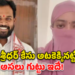 Arava Sridhar: అరవ శ్రీధర్ వ్యవహారం.. జనసేన సైలెన్స్ వెనుక అసలు గుట్టు ఇదేనా?