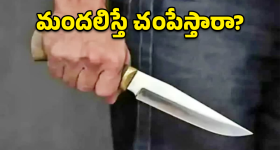 Drug Case: మొయినాబాద్ డ్రగ్స్ కేసు.. అంతర్జాతీయ మాఫియా లింకులు.. నేడు కస్టడీపై కోర్టు నిర్ణయం!