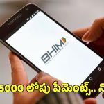 BHIM Small UPI Payments: ఇక పై రూ.5000 వరకు నో పిన్.. BHIM యాప్ లో కొత్త ఫీచర్