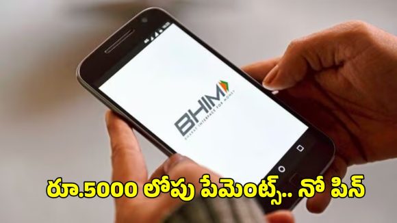 BHIM Small UPI Payments: ఇక పై రూ.5000 వరకు నో పిన్.. BHIM యాప్ లో కొత్త ఫీచర్