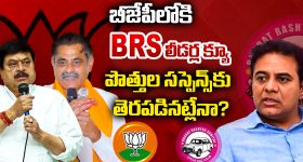 BRS And BJP Alliance: తెలంగాణ రాజకీయాల్లో కొత్త చర్చ.. బీజేపీతో బీఆర్ఎస్ పొత్తు ఉందా?