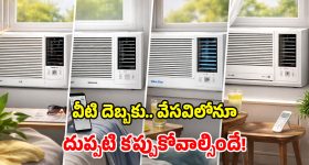 Best Window ACs: ఏమి ఎండలు బాబోయ్? ఈ బడ్జెట్ ఏసీలు ట్రై చేయ్ భయ్యా.. సమ్మర్‌లో కూల్‌గా ఉండొచ్చు!