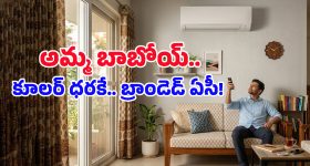 Virosh wedding: విరోష్ వెడ్డింగ్ ఖర్చు ఎంతో తెలుసా..పెళ్ళి ఖర్చు మొత్తం తనదేనా?