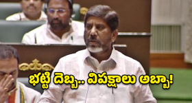 బ్లాక్‌మెయిల్ చేసి పార్టీలో చేర్చుకున్నారు.. హౌస్ కమిటీల అసలు గుట్టు విప్పిన భట్టి విక్రమార్క!