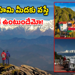 Binserh Travel: ఈ వేసవికి బెస్ట్ డెస్టినేషన్.. ఉత్తరాఖండ్‌లోని ‘బిన్సార్’ పూర్తి టూర్ ప్లాన్!