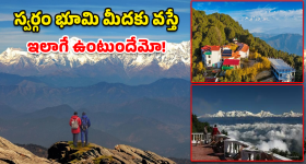 Binserh Travel: ఈ వేసవికి బెస్ట్ డెస్టినేషన్.. ఉత్తరాఖండ్‌లోని 'బిన్సార్' పూర్తి టూర్ ప్లాన్!