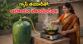 Biogas Plant: ఇంట్లోనే వంట గ్యాస్ తయారీ.. కేంద్రం నుంచి నిధులు.. అమ్ముకుంటే డబ్బే డబ్బు!