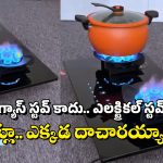 Blower Electric Chulha: వావ్, గ్యాస్ స్టవ్‌లా పనిచేసే ఎలక్ట్రిక్ స్టవ్.. ధర కూడా చాలా తక్కువ!