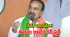 ' విశ్వంభర ' మూవీ నుంచి క్రేజీ అప్డేట్.. మెగా ఫ్యాన్స్ కు డబుల్ ట్రీట్..!