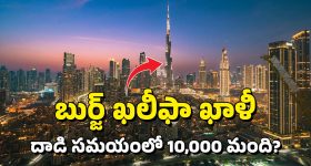 Virosh Wedding: దేశవ్యాప్తంగా విరోష్ వెడ్డింగ్ వేడుకలు.. ఈ నగరాల్లో అన్నదానాలు, స్వీట్ల పంపకం