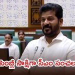 CM Revanth: మైనింగ్, ఇసుక తవ్వకాలపై సీబీసీఐడీ విచారణ.. సీఎం రేవంత్ రెడ్డి సంచలన నిర్ణయం