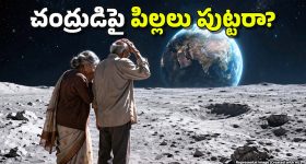 Rare Bird: హుజూరాబాద్‌లో వింత పక్షి కలకలం