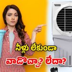 Air Cooler: కూలర్‌ను నీరు లేకుండా వాడొచ్చా? ఒకవేళ వాడితే ఏం జరుగుతుంది?