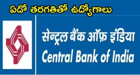 Central Bank of India: సెంట్రల్ బ్యాంక్ ఆఫ్ ఇండియాలో ఉద్యోగాలు.. డిగ్రీ పాసైతే చాలు, నెలకు రూ.30వేల జీతం