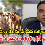 Chamala Kiran Kumar Reddy: వీధి కుక్కల బెడద.. చిన్నారుల ప్రాణాలు పోతున్నాయ్.. ఎంపీ చామల ఆవేదన