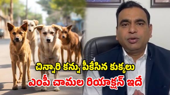 Chamala Kiran Kumar Reddy: వీధి కుక్కల బెడద.. చిన్నారుల ప్రాణాలు పోతున్నాయ్.. ఎంపీ చామల ఆవేదన