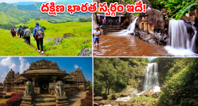 Tanveer Ahmed: రాసిపెట్టుకోండి.. ఫైన‌ల్స్ లో 35 బంతుల్లో ఫిన్ అలెన్ సెంచ‌రీ చేస్తాడు