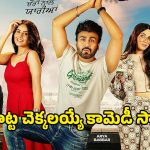 Comedy Movie OTT: మాయదారి మొగుడు… మాయాజాలం చేసే బావమరిది.. ఓటీటీలోకి వచ్చేస్తున్న కొత్త కామెడీ