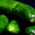 Cucumber: చేదులేని కీరా దోసకాయను ఇలా ఎంపిక చేసుకోండి
