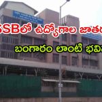DSSSB Recruitment: అక్షరాల రూ.1,51,000 జీతం.. డిగ్రీ అర్హతతో భారీగా జాబ్స్, పూర్తి వివరాలు ఇవే..
