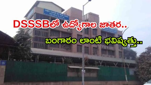 DSSSB Recruitment: అక్షరాల రూ.1,51,000 జీతం.. డిగ్రీ అర్హతతో భారీగా జాబ్స్, పూర్తి వివరాలు ఇవే..