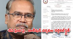 నయా కారవాన్.. జస్ట్ రూ.30 లక్షలకే సింగిల్ బెడ్‌రూమ్ లాంటి లగ్జరీ!