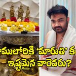 Director Maruthi: తదుపరి కథకు తుది మెరుగులు దిద్దుకుంటున్నా.. అందుకు కృషి చేస్తా!