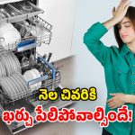 Dishwasher Monthly Cost: డిష్ వాషర్ వాడితే.. నెలకు అయ్యే ఖర్చు ఎంత? ఇది తెలుసుకోండి ఫస్ట్!