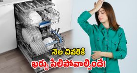 Dishwasher Monthly Cost: డిష్ వాషర్ వాడితే.. నెలకు అయ్యే ఖర్చు ఎంత? ఇది తెలుసుకోండి ఫస్ట్!
