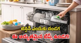 Dishwasher Tips: డిష్ వాషర్ ఖర్చు వేధిస్తోందా? టెన్షన్ వద్దు మామ.. ఈ పంచసూత్రాలు ఫాలో అయిపోండి!