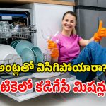 Dishwashers March 2026: మార్చిలో రాబోయే మోస్ట్ వాంటెడ్ వాష్ డిషర్లు.. ఒకసారి ఆన్ చేస్తే.. గిన్నెలు ఫటా ఫట్ క్లీనింగ్!