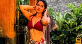 ఆ ఫీలింగ్ ఎలా ఉంటుందో నాకిప్పుడు తెలుస్తుంది.. నిహారిక కొణిదెల షాకింగ్ కామెంట్స్!