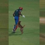 Delhi Capitals-Dog: మ్యాచ్ మ‌ధ్య‌లో ఊర‌ కుక్క ఎంట్రీ…ఎత్తి అవ‌త‌ల ప‌డేసిన ఢిల్లీ ప్లేయ‌ర్ అభిషేక్