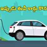 Electric Vehicles: పెట్రోల్ ధరలు భగభగ.. ఇప్పుడు ఈవీ కార్లను కొనేయడమా బెటరా? ముందుగా ఇది తెలుసుకోండి