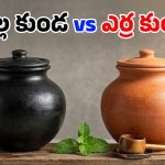 Earthen Pot Water: కుండలో నీళ్లు తాగడం మంచిదేనా? అధ్యయనాలు ఏం చెబుతున్నాయి? ఏ రంగు కుండ ఉత్తమం?