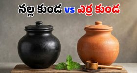 Earthen Pot Water: కుండలో నీళ్లు తాగడం మంచిదేనా? అధ్యయనాలు ఏం చెబుతున్నాయి? ఏ రంగు కుండ ఉత్తమం?
