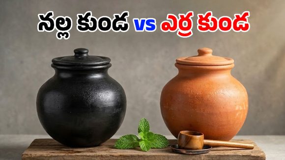 Earthen Pot Water: కుండలో నీళ్లు తాగడం మంచిదేనా? అధ్యయనాలు ఏం చెబుతున్నాయి? ఏ రంగు కుండ ఉత్తమం?