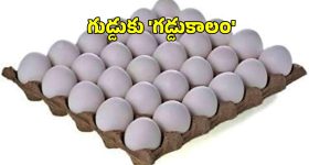 Minister Sridhar Babu: మూసీ ప్రాజెక్ట్‌పై అసెంబ్లీలో మాటల యుద్ధం.. కేటీఆర్‌కు శ్రీధర్ బాబు కౌంటర్