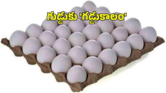 Eggs Price: భారీగా తగ్గనున్న కోడి గుడ్ల ధరలు.. ప్రస్తుతం ఎంతంటే?