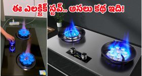 Anksha Reddy: ఉపాధి హామీ చట్టం మార్పును అడ్డుకుంటాం.. డిసిసి అధ్యక్షురాలు, ఆంక్షరెడ్డి