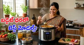 Electric Pressure Cookers: ఈ ఒక్క స్మార్ట్ కుక్కర్ ఉంటే.. గ్యాస్ సిలిండర్‌తో పనిలేదు, టాప్ 5 మోడల్స్ ఇవే!